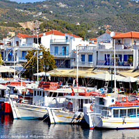 Buy canvas prints of Ferries in the old port at Skiathos in Greece. by john hill