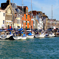 Buy canvas prints of Moored yachts at Weymouth in Dorset. by john hill