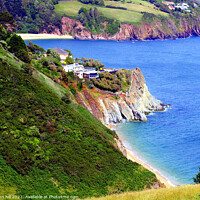 Buy canvas prints of Coast from Coast path, South Devon. by john hill