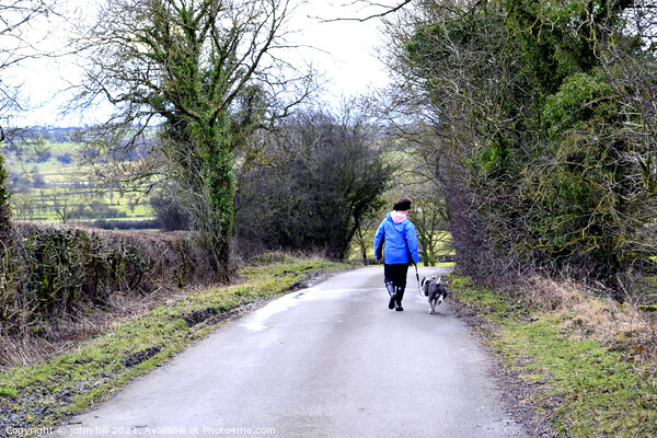 Walking the dog, Derbyshire. Picture Board by john hill