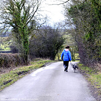 Buy canvas prints of Walking the dog, Derbyshire. by john hill