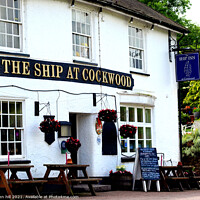 Buy canvas prints of The Ship Inn, Cockwood, Devon by john hill