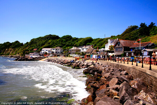 Steephill cove on the Isle of Wight Picture Board by john hill