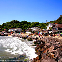 Buy canvas prints of Steephill cove on the Isle of Wight by john hill