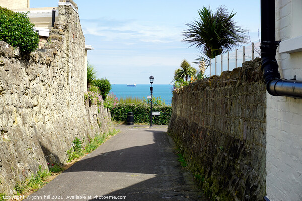 Sea view from a cliff top lane at Shanklin, Isle o Picture Board by john hill