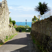 Buy canvas prints of Sea view from a cliff top lane at Shanklin, Isle o by john hill