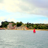 Buy canvas prints of Brownsea Island, Poole, Dorset. by john hill
