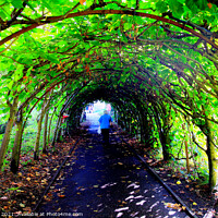 Buy canvas prints of Tree Tunnel. by john hill