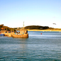Buy canvas prints of River Camel. by john hill