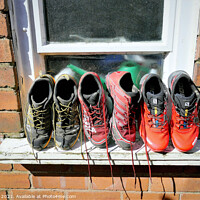 Buy canvas prints of Running trainers out to dry. by john hill