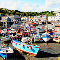 Buy canvas prints of Organised harbour at Mevagissey, Cornwall. by john hill