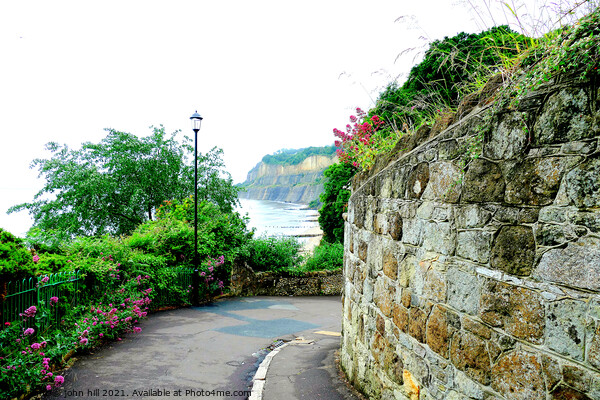 Cliff Path, Shanklin, Isle of Wight. Picture Board by john hill