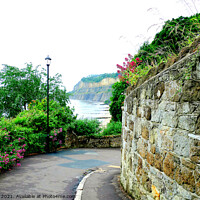 Buy canvas prints of Cliff Path, Shanklin, Isle of Wight. by john hill