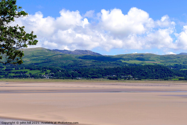 Welsh coastline at Portmeirion  Picture Board by john hill