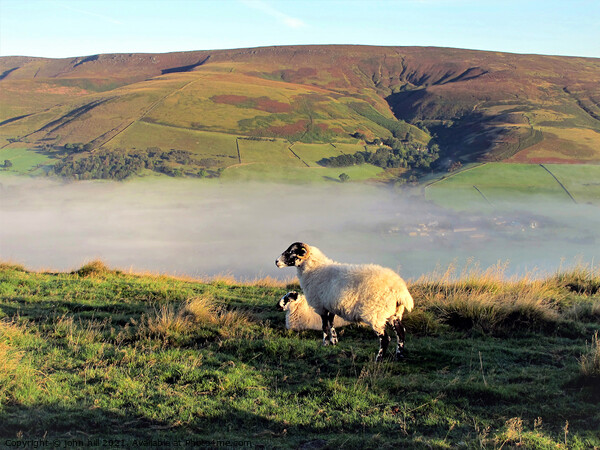 Morning mist in Edale valley. Picture Board by john hill