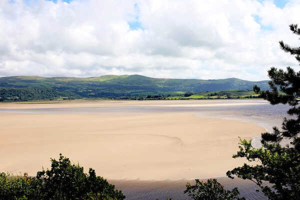 River Dwyryd, Portmeirion, Wales. Picture Board by john hill