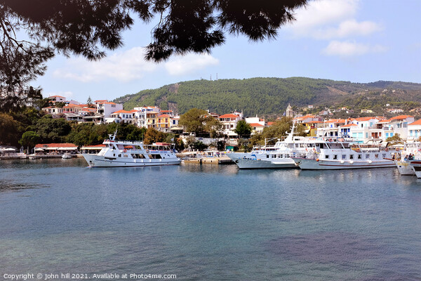 Old Port from the Mpourtzi, Skiathos town, Skiathos, Greece. Picture Board by john hill