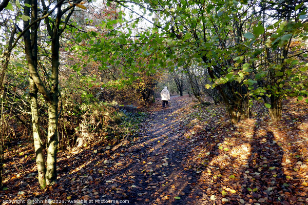 Autumn woodland Walk, Derbyshire, UK. Picture Board by john hill