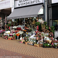 Buy canvas prints of Florist's display in December. by john hill
