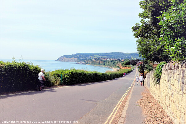 Coast path, Lake, Isle of Wight. Picture Board by john hill
