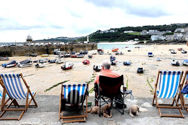 Beached moorings, St. Ives, Cornwall, UK. Picture Board by john hill