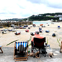 Buy canvas prints of Beached moorings, St. Ives, Cornwall, UK. by john hill