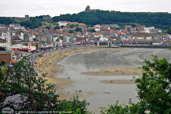Scarborough beach at low tide, North Yorkshire, UK. Picture Board by john hill