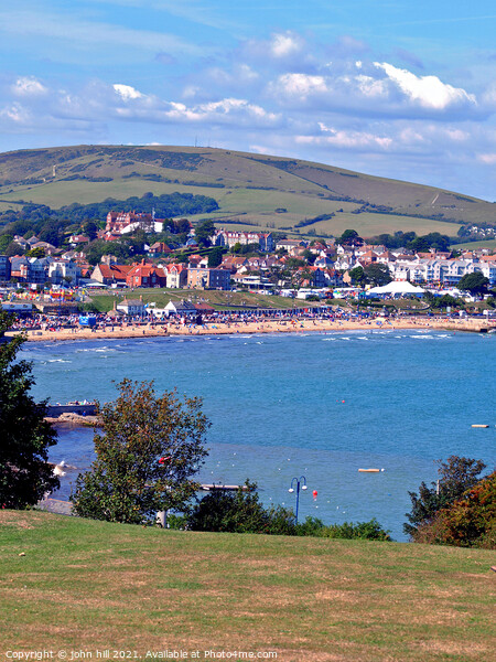 Bay and beach in portrait, Swanage, Dorset, UK. Picture Board by john hill