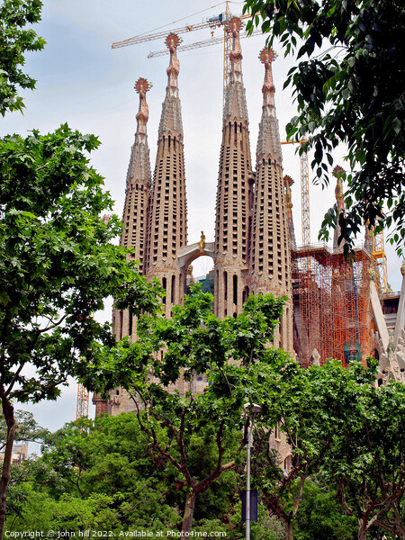 Sagrada Família, Barcelona, Spain in portait. Picture Board by john hill