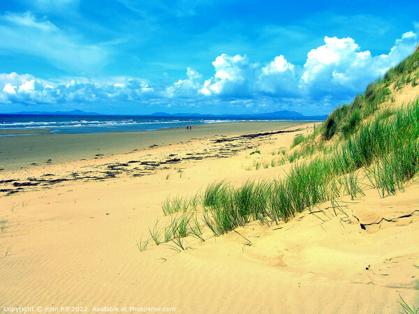 Sand Dunes, Gwynedd, Wales. Picture Board by john hill