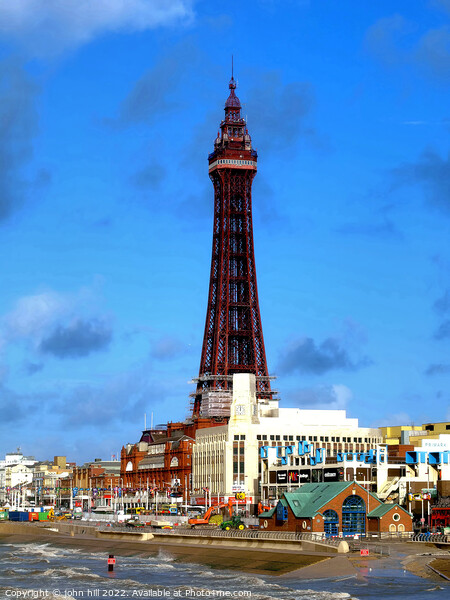 Blackpool Tower. Picture Board by john hill