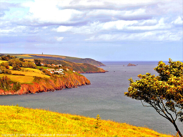 Coastline, Devon. Picture Board by john hill