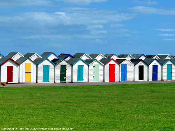 Beach huts, Paignton, Devon. Picture Board by john hill