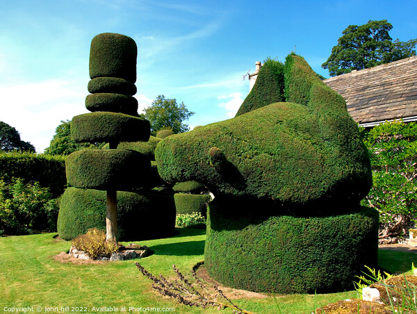 Topiary. Picture Board by john hill