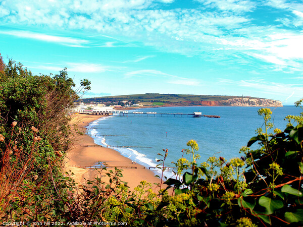 Sandown Bay from the clifftop, Isle of Wight. Picture Board by john hill