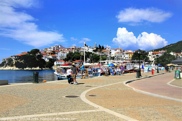 Old Port, Skiathos town, Greece. Picture Board by john hill