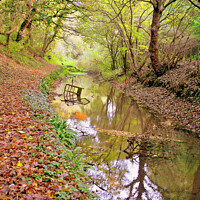 Buy canvas prints of The Cromford canal, Derbyshire. by john hill