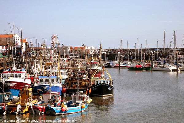 Scarborough harbour, Yorkshire. Picture Board by john hill