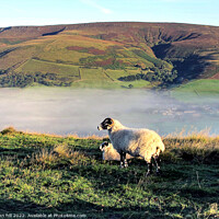 Buy canvas prints of Morning mist in Edale valley. by john hill