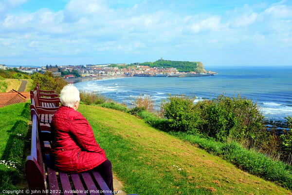 Scarborough cliff top view, Yorkshire. Picture Board by john hill