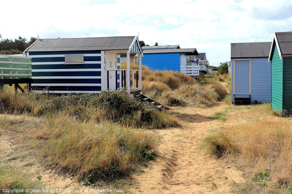 Sand dunes beach huts, Old Hunstanton, Norfolk. Picture Board by john hill