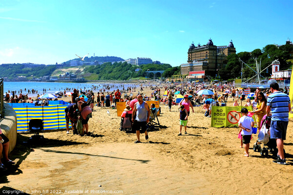 South beach in july, Scarborough, Yorkshire. Picture Board by john hill