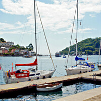 Buy canvas prints of River Dart estuary from Dartmouth. by john hill