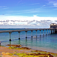 Buy canvas prints of Bembridge lifeboat station, Isle of Wight. by john hill