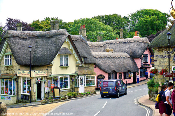 Shanklin old town thatch on the Isle of Wight Picture Board by john hill