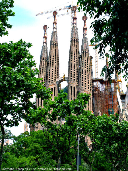 La Sagrada Familia, Barcelona, Spain. (portrait) Picture Board by john hill