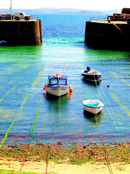 Entrance Mousehole harbour, Cornwall. (portrait) Picture Board by john hill