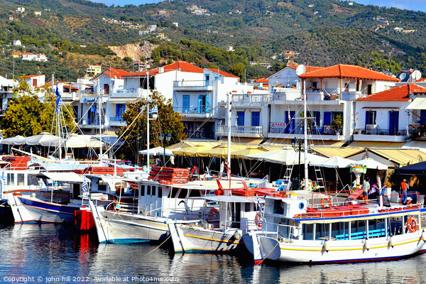 Ferries, the old port, Skiathos, Greece. Picture Board by john hill