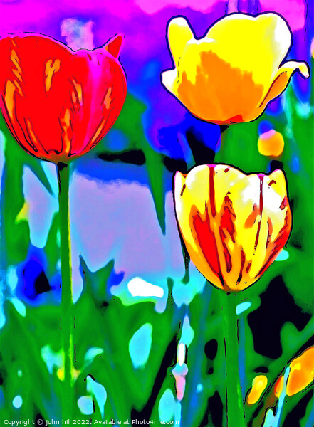 Plant flower, Tulips in Portrait. Picture Board by john hill