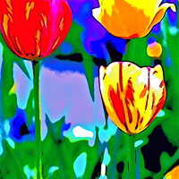 Buy canvas prints of Plant flower, Tulips in Portrait. by john hill
